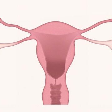 DPC dépistage cancer col